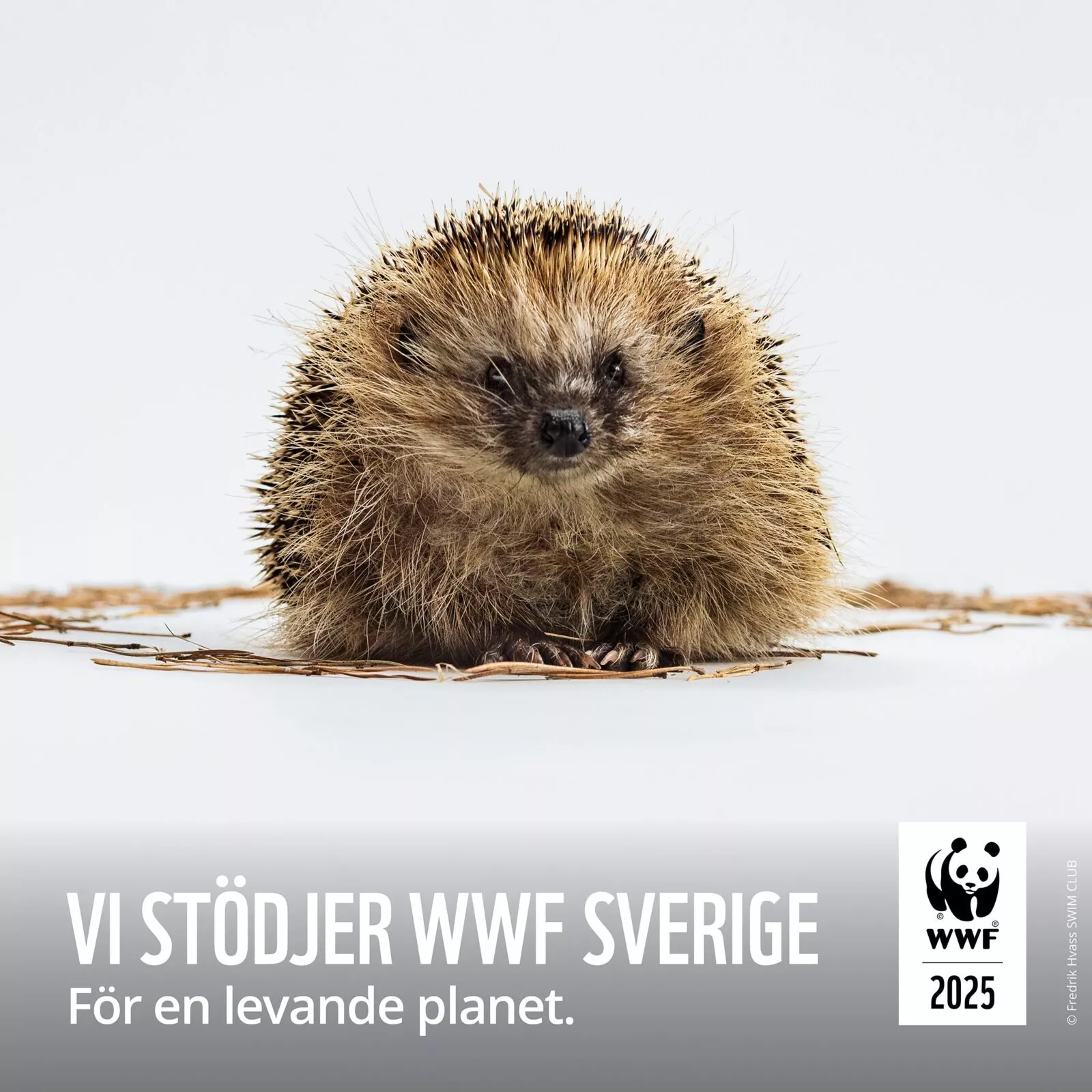 wwf0020_1-1_some_20257-1600x1600